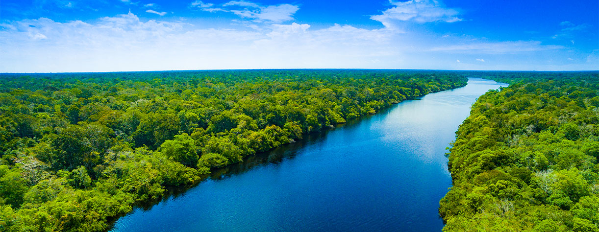 Amazon rainforest in Brazil