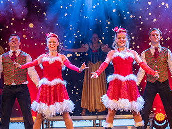 Singers and Dancers in the Festive entertainment show