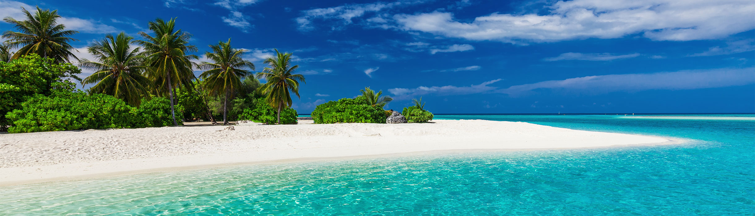 Beautiful blue skies and Caribbean sea with palms trees, Caribbean beach
