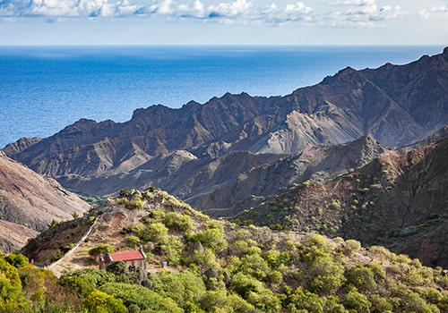 Blog Thumbnail Image