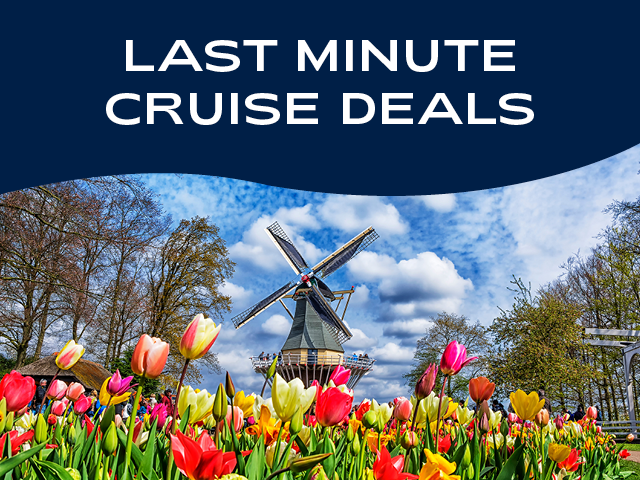 Windmill and tulips in Amsterdam, Netherlands 