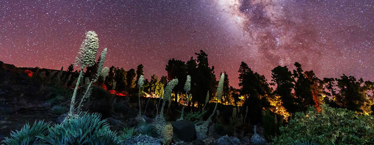 The Milky Way on the island of La Palma, Canary Islands