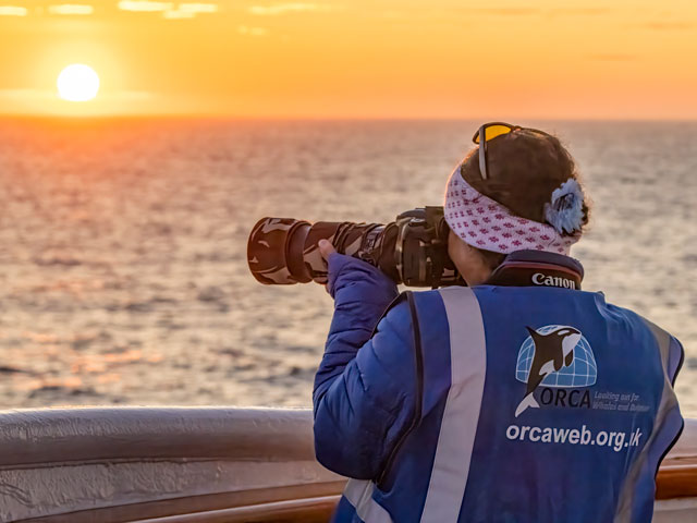 ORCA on board spotting marine life