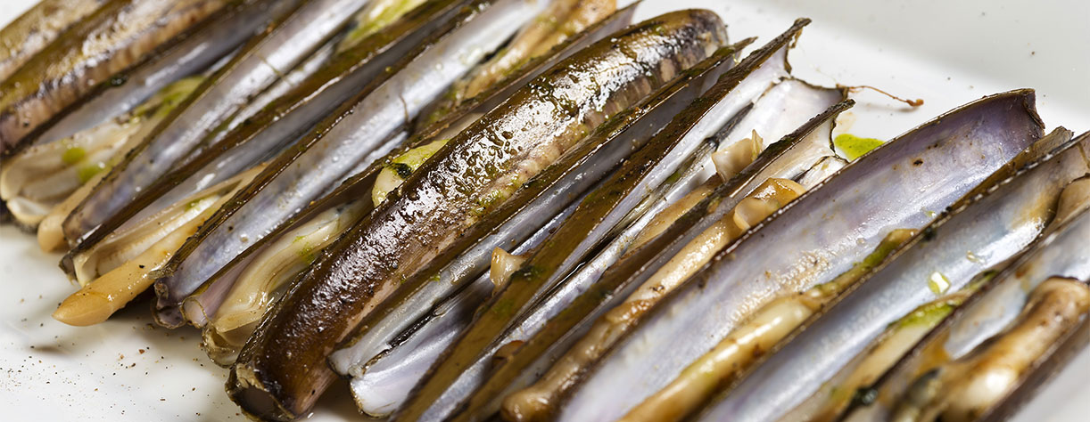 A plate with grilled razor clams on