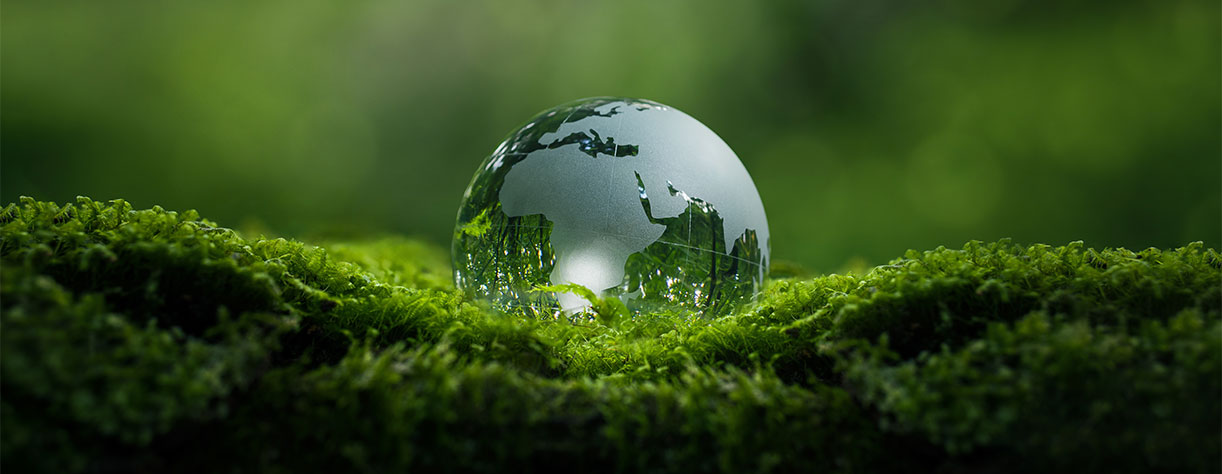 World paper weight on grass background World paper weight on grass background