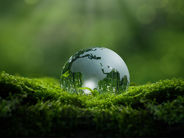 World paper weight on grass background World paper weight on grass background
