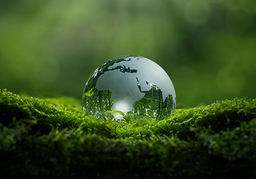 World paper weight on grass background World paper weight on grass background