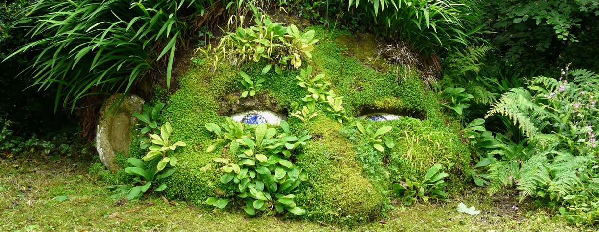 The Lost Gardens of Heligan