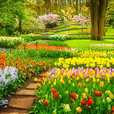 Keukenhof Gardens Keukenhof Gardens