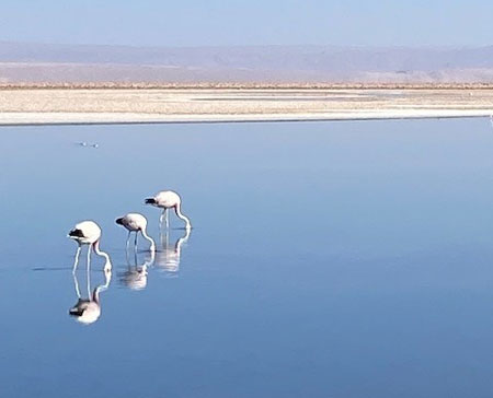 Atacama Desert