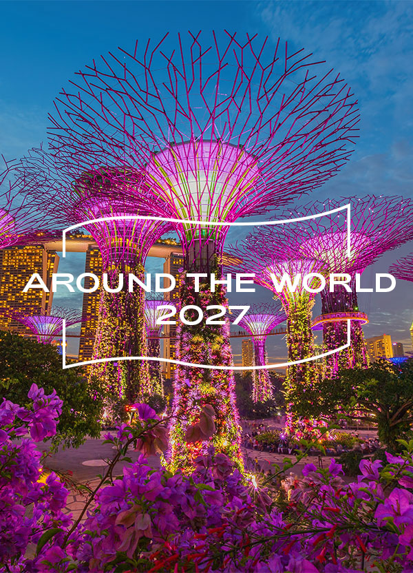Night view of The Supertree Grove at Gardens by the Bay, Singapore 