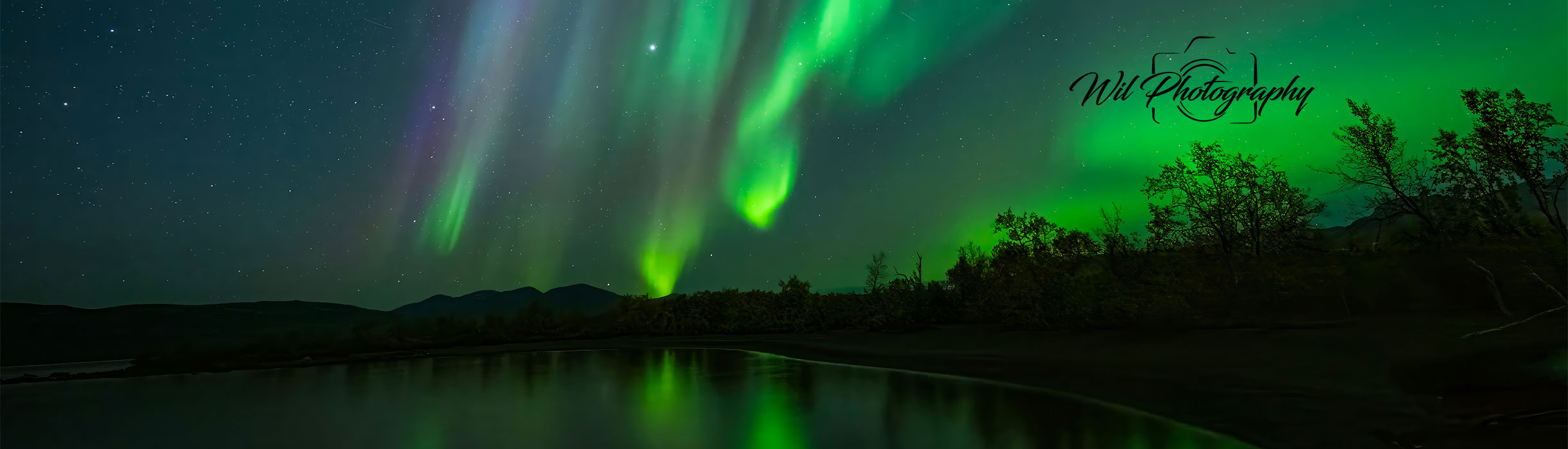 Northern Lights in Norway with Wil photography logo