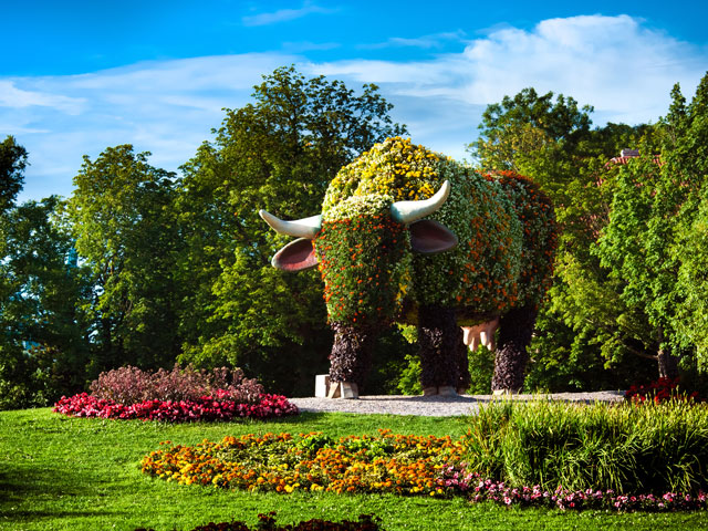Flower Cow Sculpture in Venstpils
