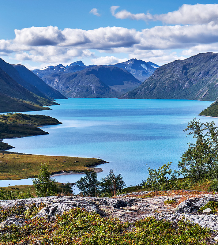 Scenic Summertime Fjords of Norway