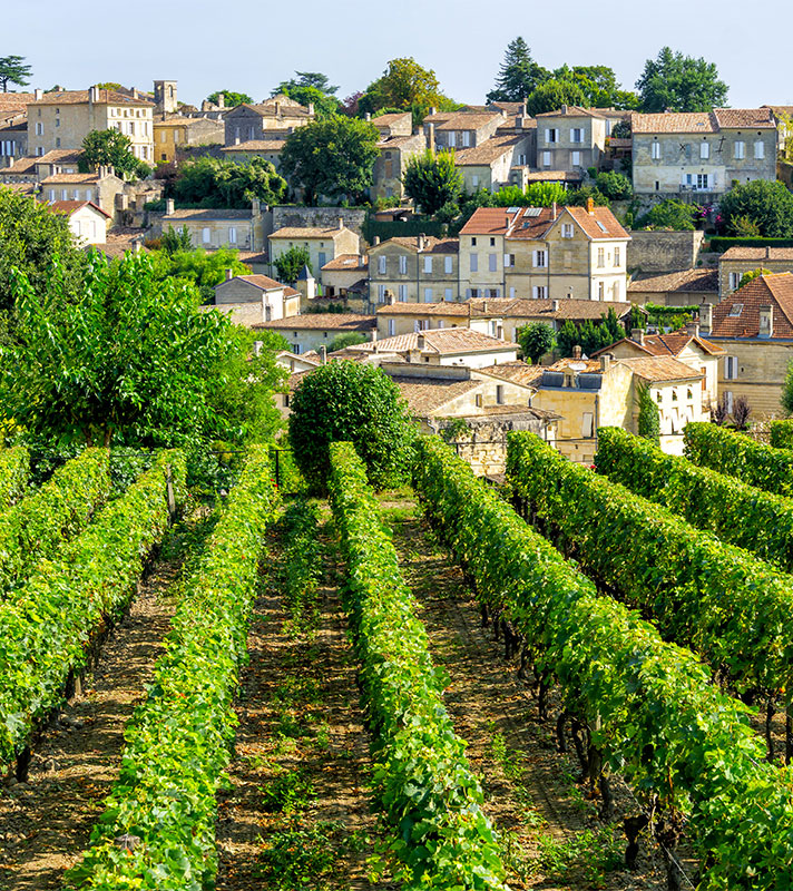Vineyards & Harbours of France