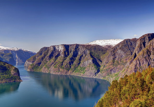 Blog Thumbnail Image