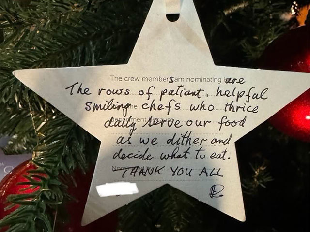 Christmas star on tree