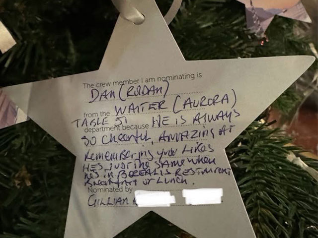 Christmas star on tree