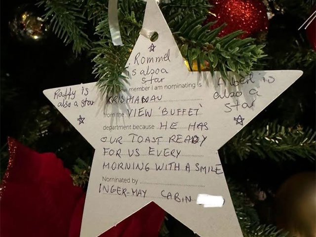 Christmas star on tree