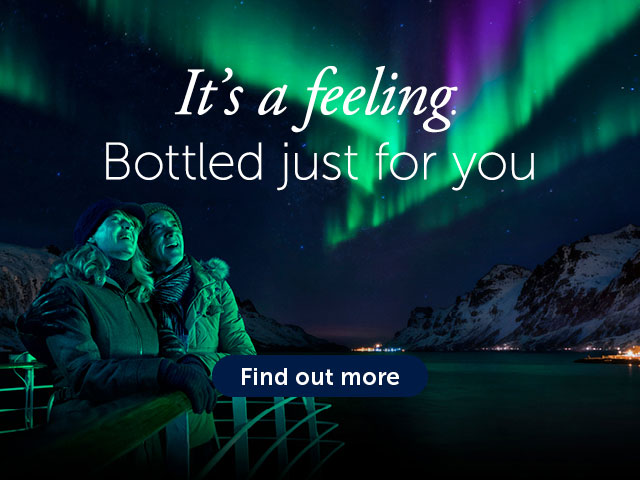 Guests looking up to the Northern lights from deck