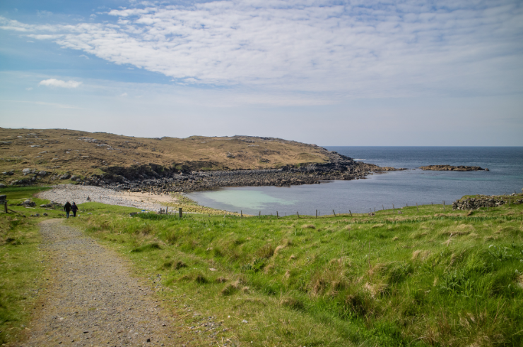 Blog Thumbnail Image