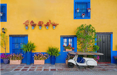 Colourful buildings with flowers in the old town of Malaga