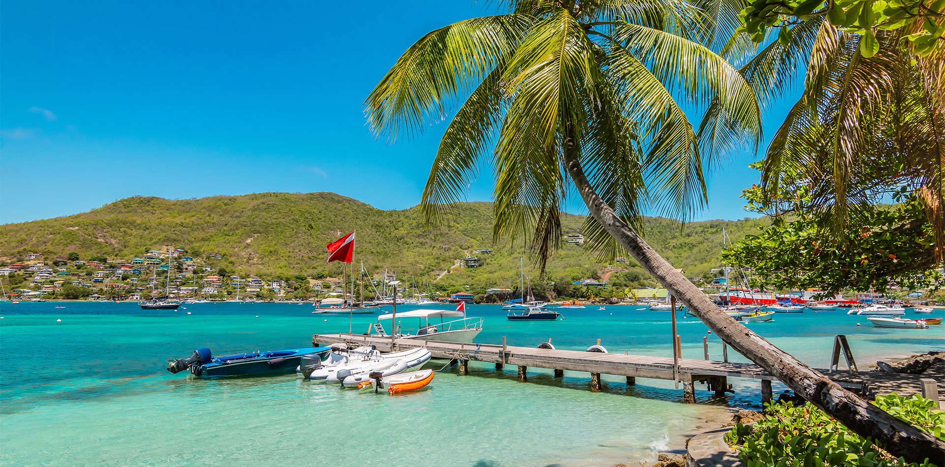 Palm tree and boats on Bequia Island