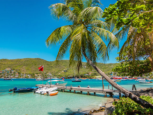 Palm tree and boats on Bequia Island