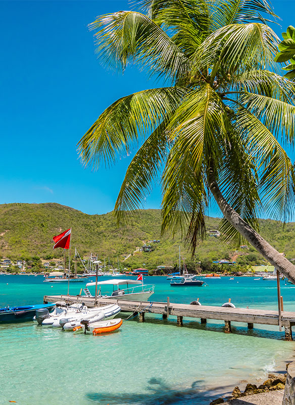 Palm tree and boats on Bequia Island
