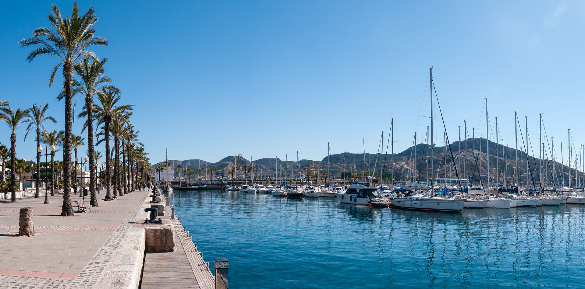 Promenade with palm trees, pier with many yachts in the bay of Cartagena, spain