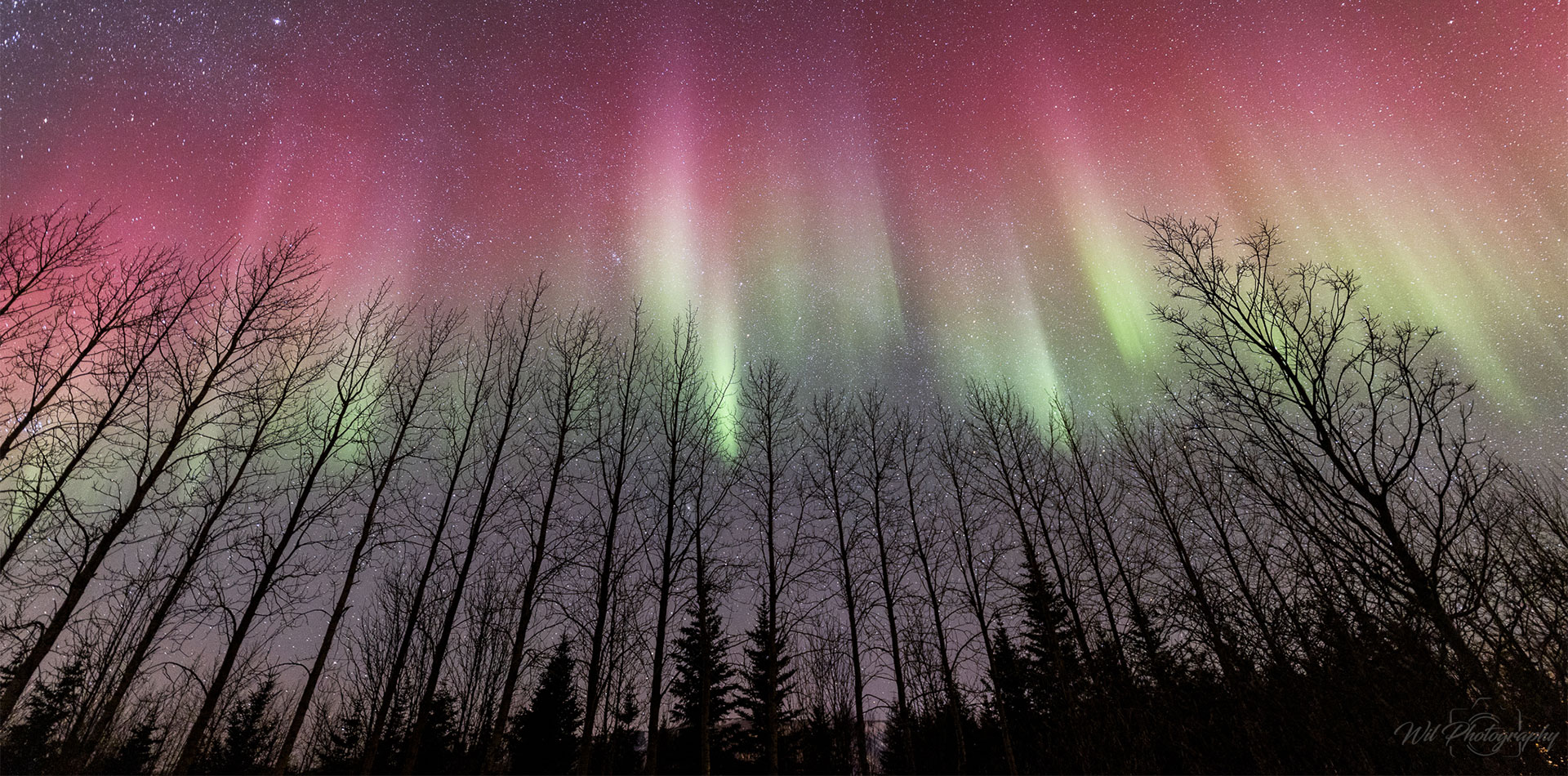 Northern lights as photographed by Wil Cheung
