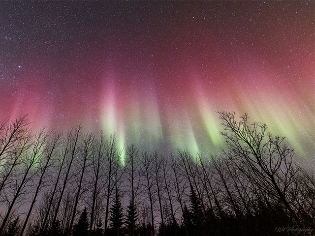 Northern lights as photographed by Wil Cheung