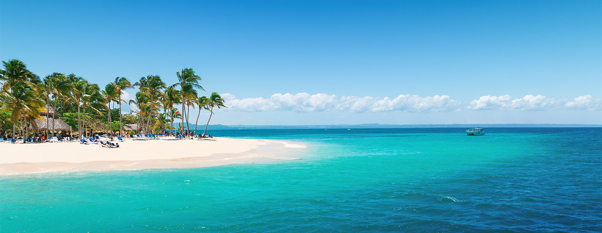 Caribbean sea and palm trees, Samana, Dominica Republic