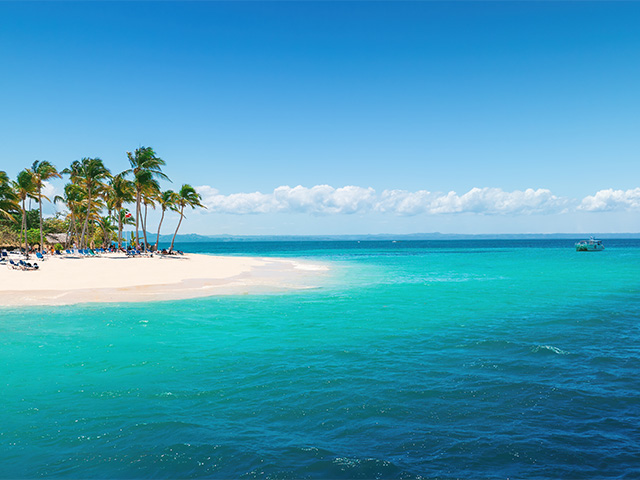 Caribbean sea and palm trees, Samana, Dominica Republic