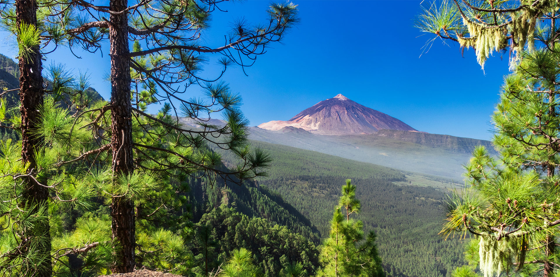 Mount Tiede, Tenerife, Canary Islands