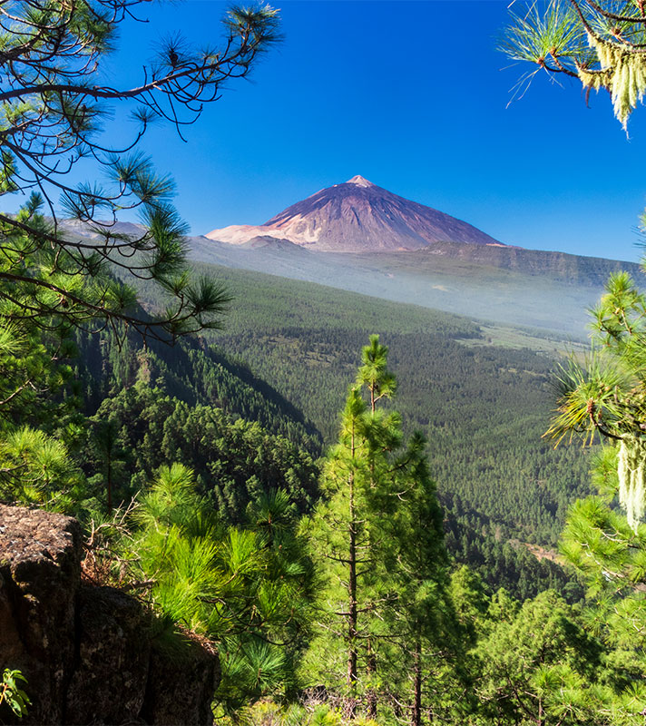 Mount Tiede, Tenerife, Canary Islands