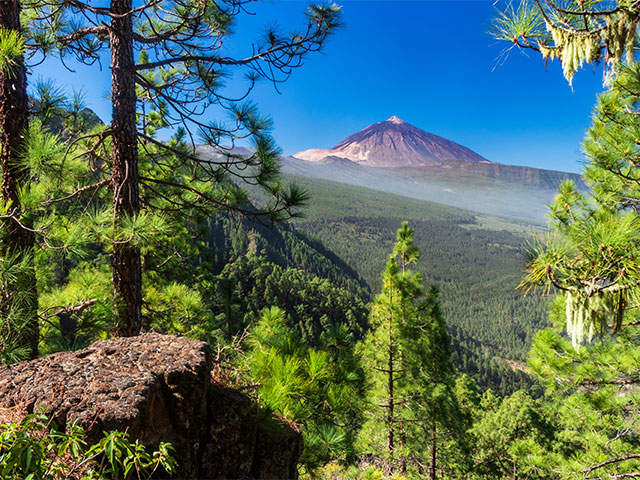 Mount Tiede, Tenerife, Canary Islands