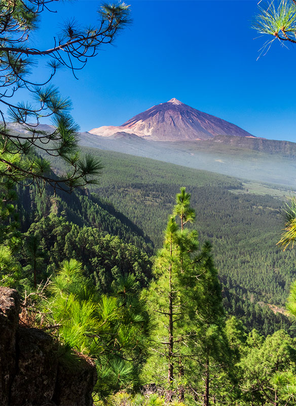 Mount Tiede, Tenerife, Canary Islands